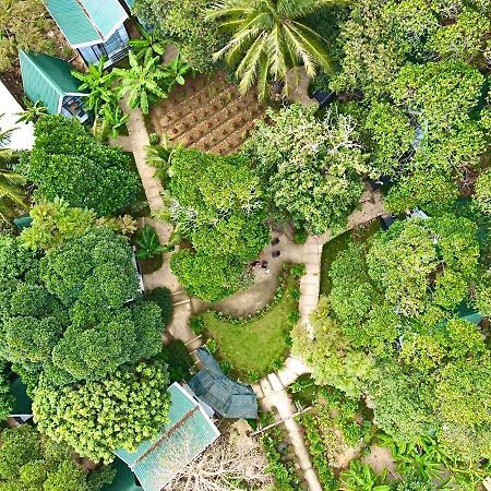 Homestay De la Rosa - Côn Đảo Chi Khu Co Ong Ngoại thất bức ảnh
