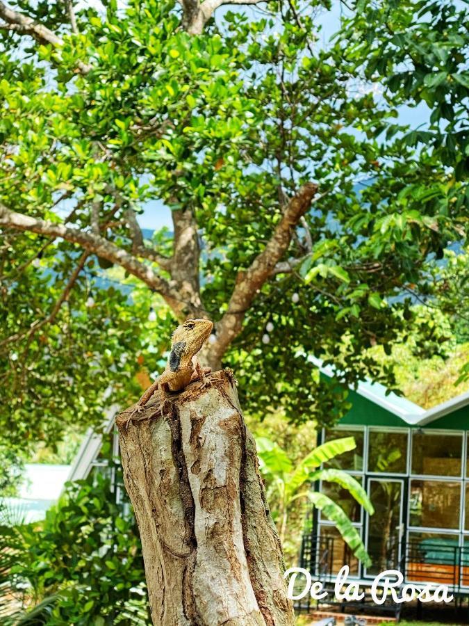 Homestay De la Rosa - Côn Đảo Chi Khu Co Ong Ngoại thất bức ảnh